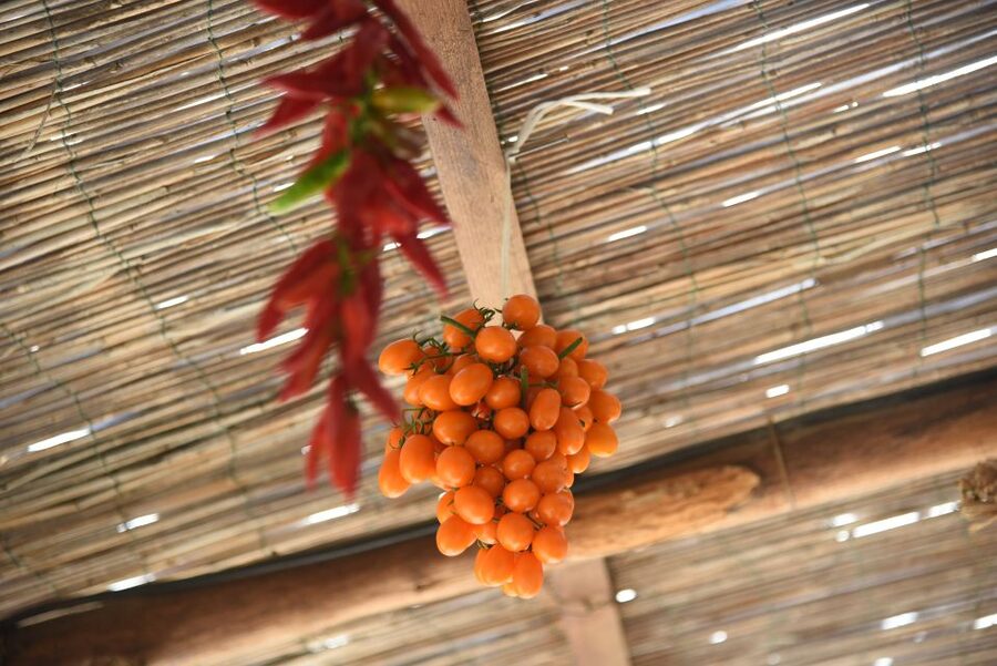 Sorrento: Pizza Lesson, Wine, and Limoncello at a Local Farm - The one-hour pizza school