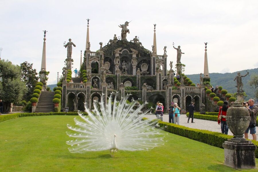 Stresa: 3 Borromean Islands Boat Tour - Isola Madre’s historic botanical garden