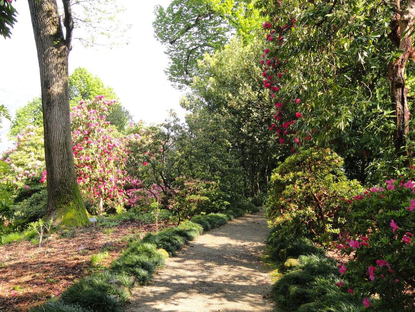 Stresa: 3 Borromean Islands Boat Tour - Who will enjoy this format most