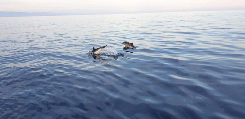 Sunset tour in search of dolphins with aperitif - Caves, Capo Taormina, and the Faraglioni