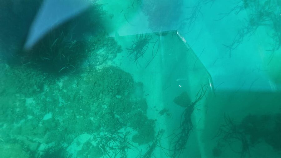 Syracuse: Coast and Sea Caves Full Transparent Boat Tour - How the 50-minute timing affects value