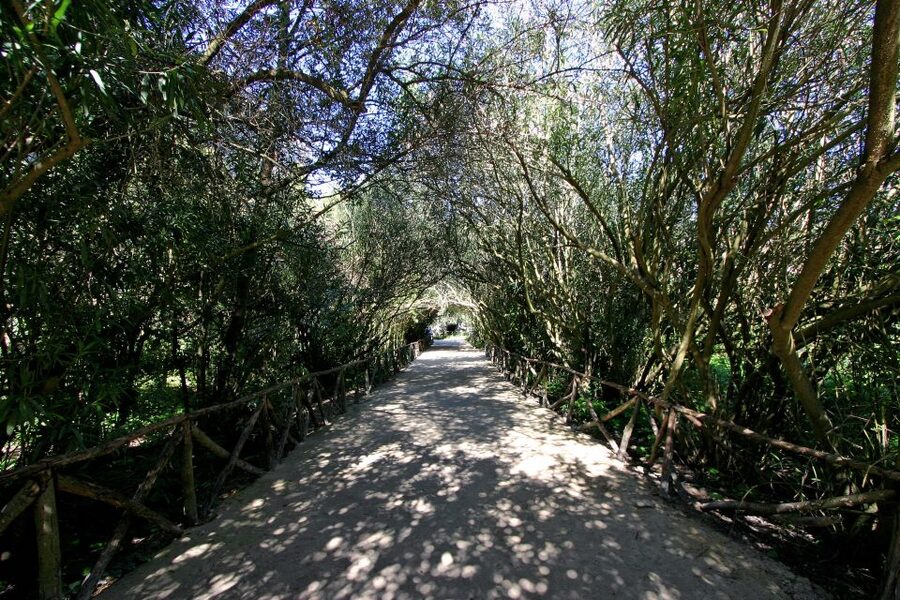 Syracuse: Neapolis Archaeological Park Small Group Tour - How much time the 1.5-hour format gives you