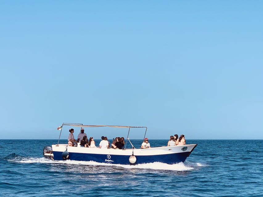 Syracuse: Pillirina, Ortigia, and Sea Caves Tour by Boat - Key points to know before booking