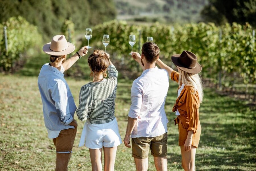 Taormina: Guided Etna Wine Tasting Half-Day Tour - Why this Etna wine tour works so well