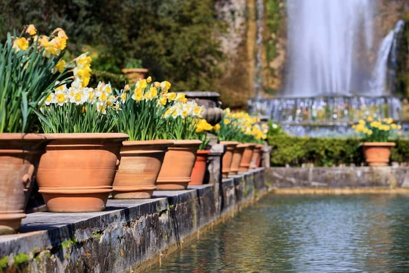 Tivoli: Villa D'Este Entry Ticket and App Audio Guide - The water-powered organ and other sounds