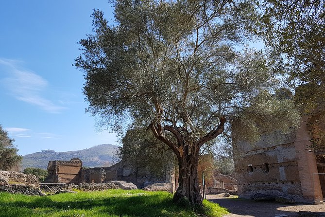 Tivoli Villas Full Day Trip From Rome with Lunch - Who will enjoy this Tivoli day trip