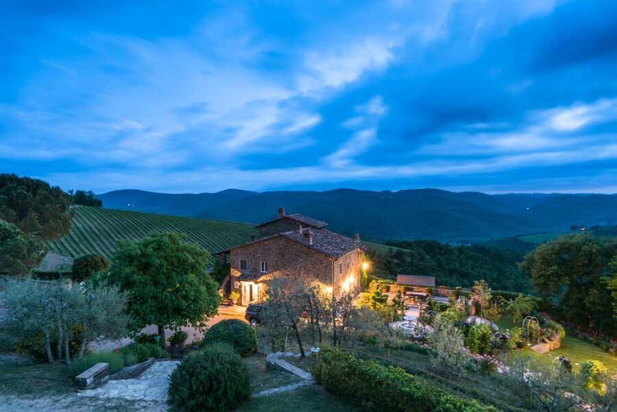 Total Immersion Wine Tour in Chianti - Why this Chianti tour feels different