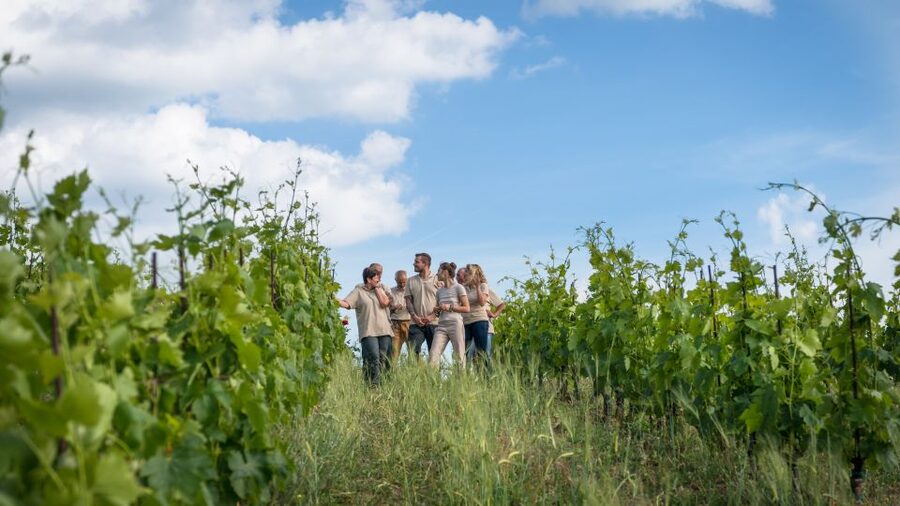 Total Immersion Wine Tour in Chianti - Should you book the Montemaggio wine tour?