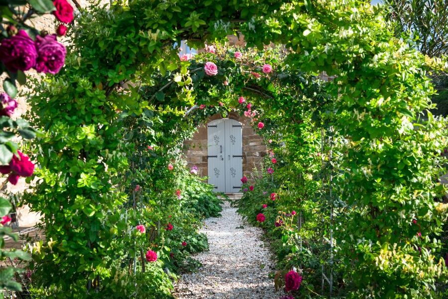 Total Immersion Wine Tour in Chianti - Walking through organic agriculture