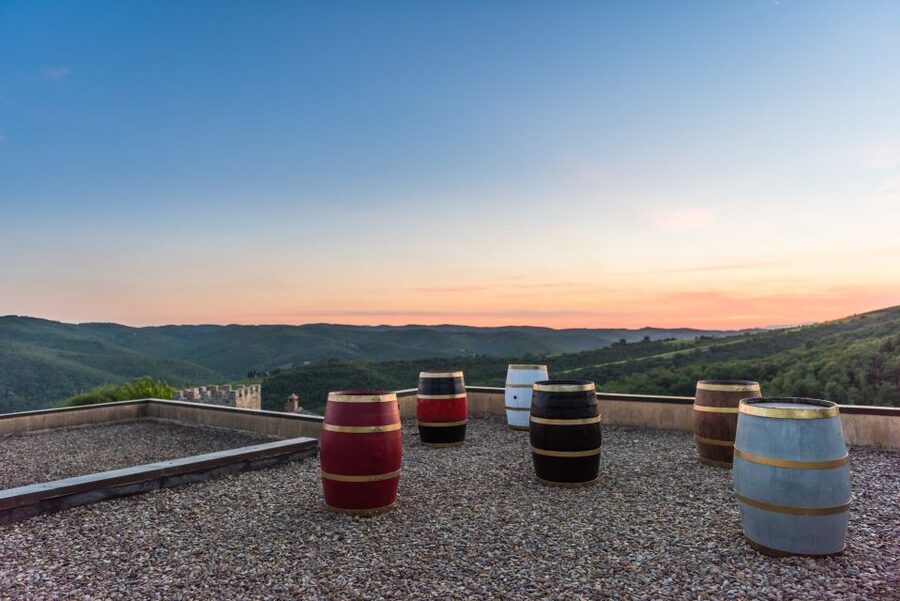 Total Immersion Wine Tour in Chianti - What $47 buys you