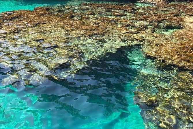 Tour 3h and half visit of all the caves, bathroom stop and aperitif - Punta Meliso and the meeting of two seas