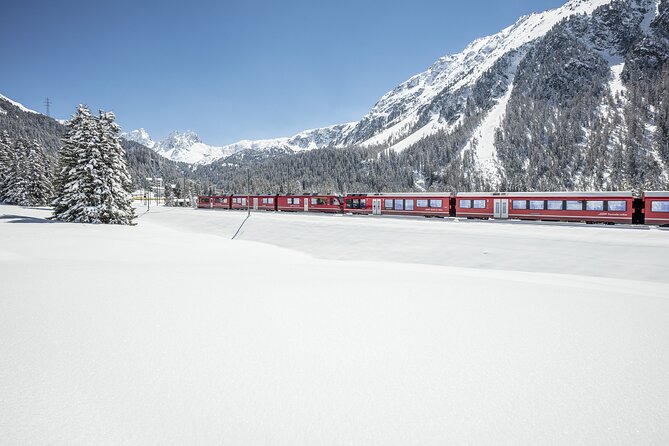 Tour Bernina Red Train And St Moritz from Milan - The Maloja route and the return to Milan