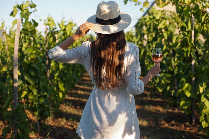 Tour Etna & Wine Tasting - Key points at a glance
