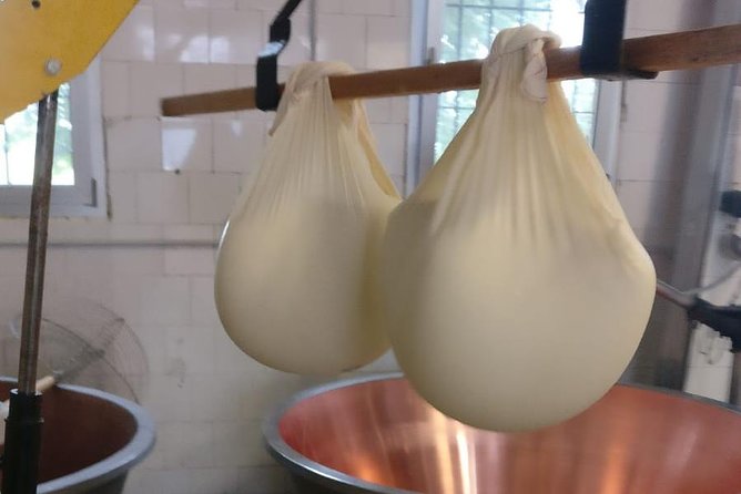 Tour Parmigiano Reggiano dairy and Parma ham - Practical Tips Before You Go