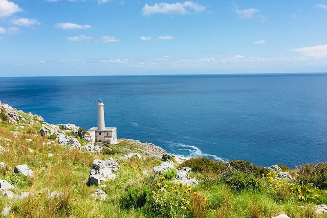 Tour to 4 Towns of Salento: Otranto, Leuca, Gallipoli, Galatina - What the $145.91 price really buys you