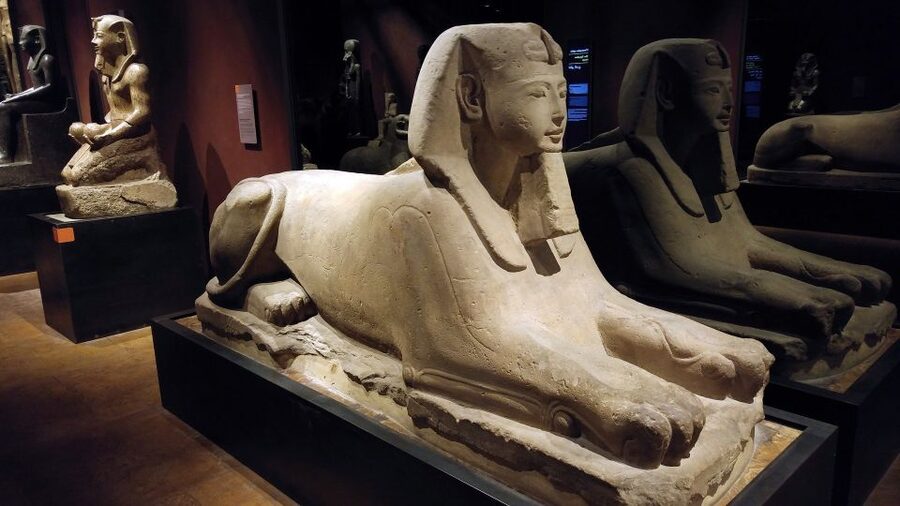 Turin: Guided Egyptian Museum Tour - A chronological walk through Egyptian civilization