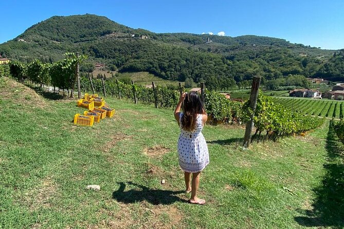 Tuscan Wine Tour in Lucca by van - Who will enjoy this Lucca wine tour most