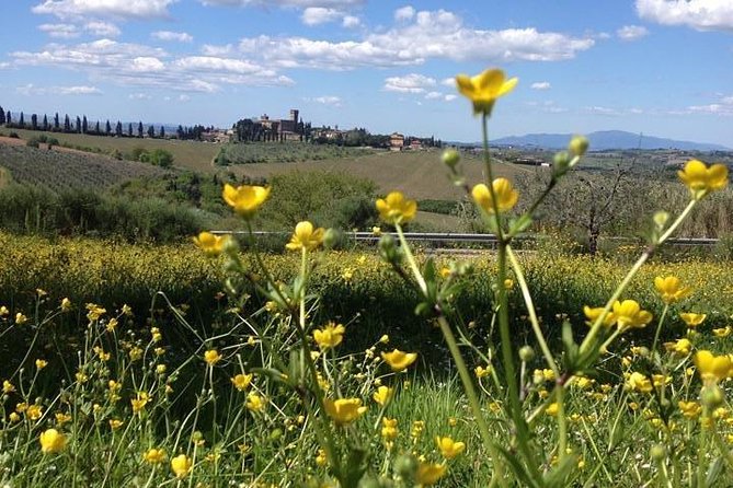 Tuscany Bike Tours Through the Chianti Hills with Wine Tasting - The guides make a real difference