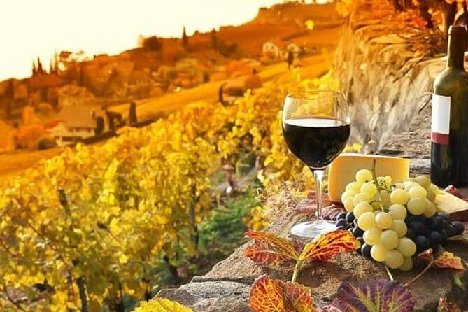 Tuscany Day Trip from Florence: Siena, San Gimignano, Pisa and Lunch at a Winery - Guides make a big difference