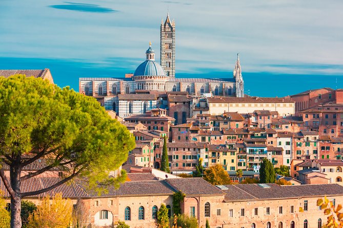 Tuscany: Day Trip to Pisa, Siena, San Gimignano, and Chianti - Pisa and the Field of Miracles