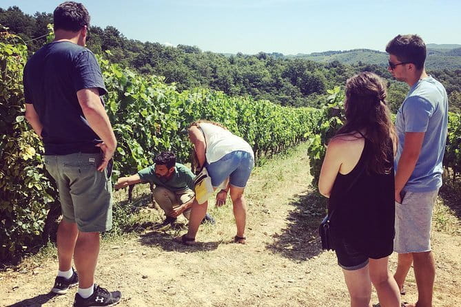 Tuscany Vespa Tours Through the Hills of Chianti - A Tuscan lunch with wine and olive oil