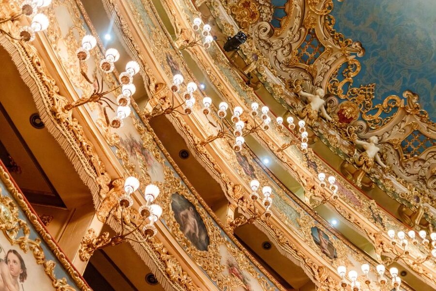Venice: La Fenice Opera House Entry Ticket with Audio Guide - Small details that improve the visit
