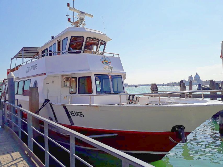 Venice: Murano & Burano Panoramic Boat Tour w/ Glassblowing - Why this half-day boat trip works in Venice