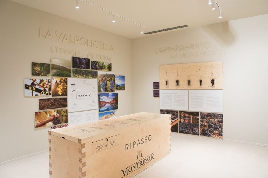 Verona: Montresor Winery Visit with Wine Tasting and Snacks - The museum connects Montresor wine with Verona