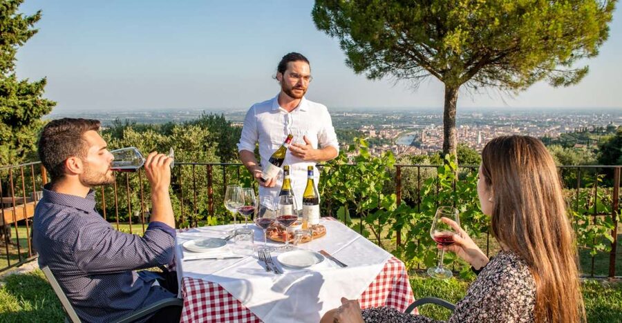 Verona: Wine Tasting with Snacks and Panoramic Views - Key points to know before you book