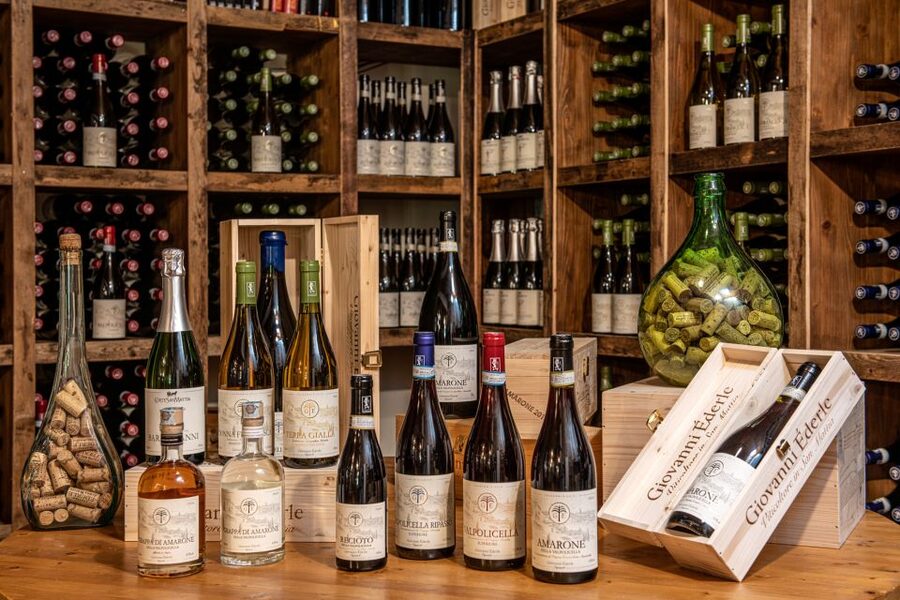 Verona: Wine Tasting with Snacks and Panoramic Views - Cold cuts and cheese turn the tasting into a light meal