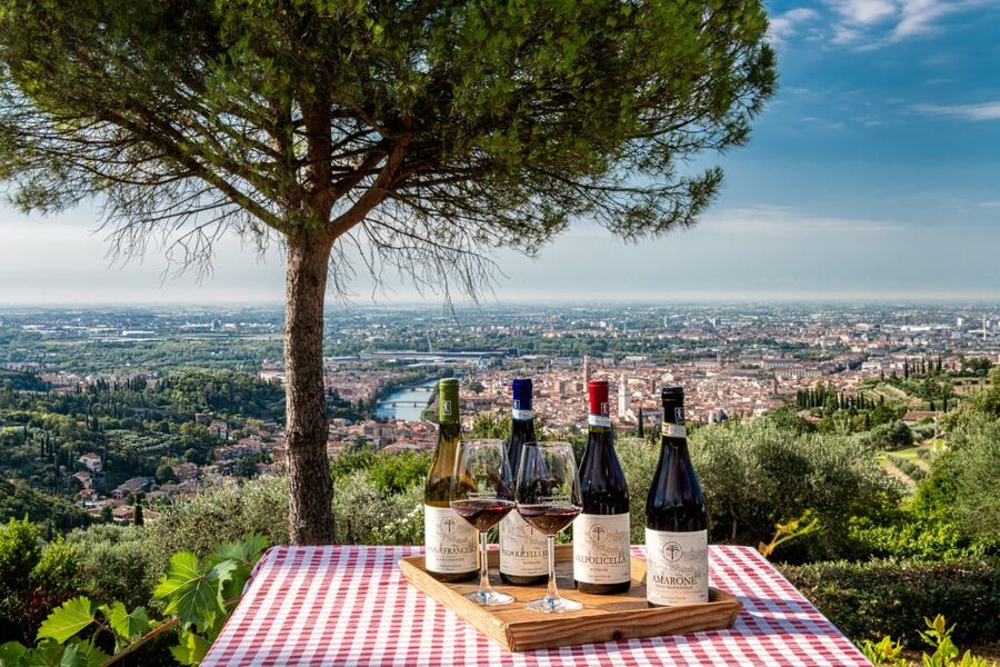 Verona: Wine Tasting with Snacks and Panoramic Views - The terrace and garden are the real setting