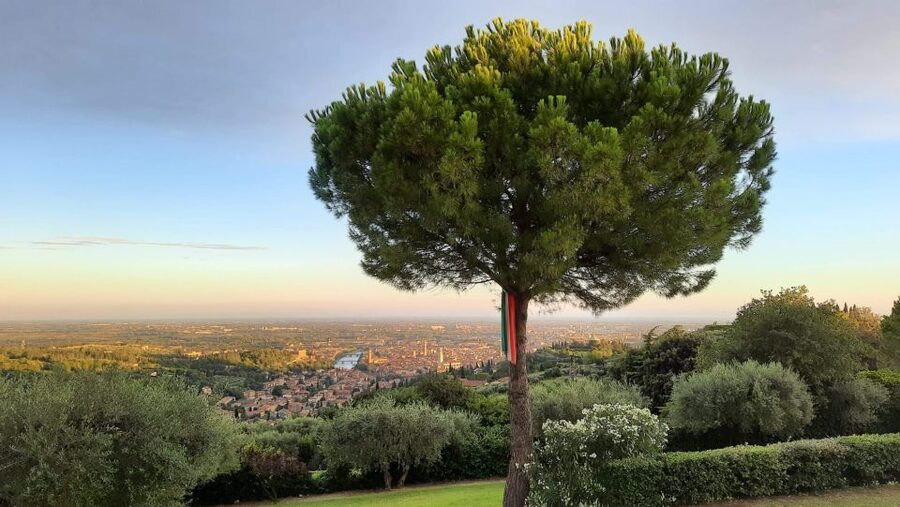Verona: Wine Tasting with Snacks and Panoramic Views - How the $53 price compares