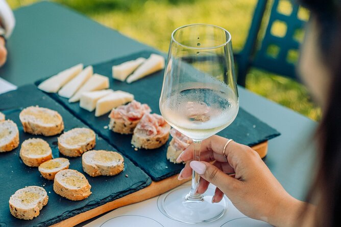 Wine and Food Tasting in the Vineyards in Lazise - A vineyard tasting just outside Lazise