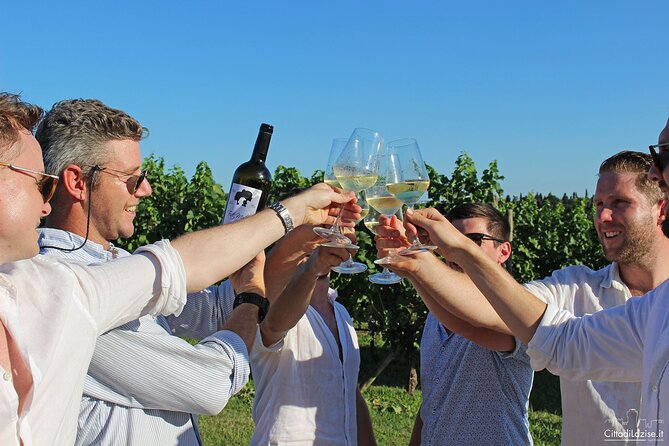 Wine and Food Tasting in the Vineyards in Lazise - Walking through the vines