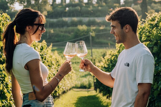 Wine and Food Tasting in the Vineyards in Lazise - Six or more wines from white to red