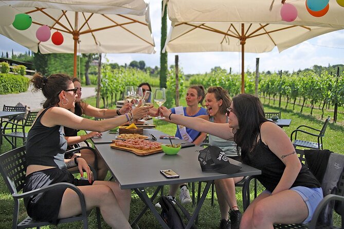 Wine and Food Tasting in the Vineyards in Lazise - What the $50.81 price gets you