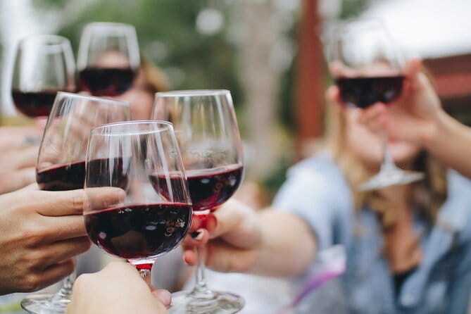 Wine Experience In Chianti Hills from Florence - Key points to know before booking