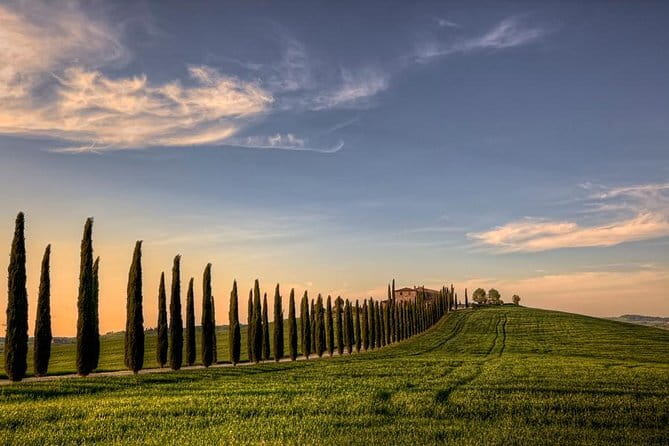 Wine Experience In Chianti Hills from Florence - Group size, comfort, and the real pace