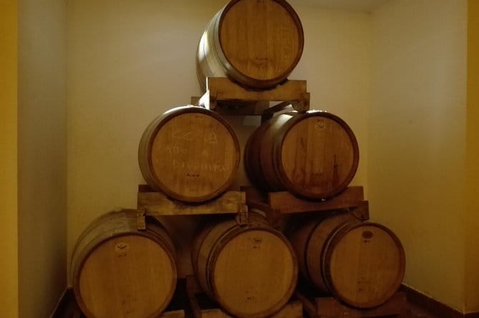 Wine Experience In Chianti Hills from Florence - Who will enjoy this afternoon best?