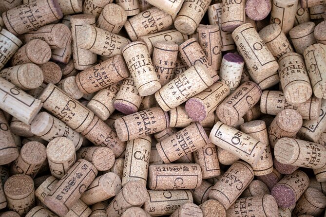 Wine tasting THE CLASSICS - Who will enjoy this most