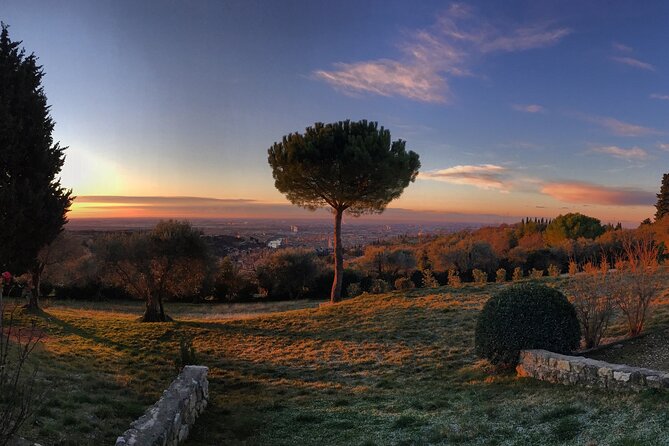 Wine Tasting with Panoramic View of Verona - A hilltop introduction to Verona wine