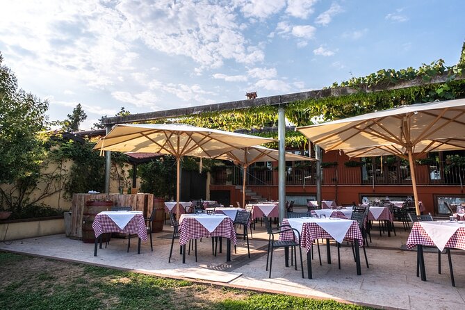 Wine Tasting with Panoramic View of Verona - Time, group size, and overall pace
